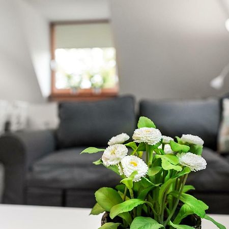 Vakantieappartementen Centrum Oudewater Dış mekan fotoğraf
